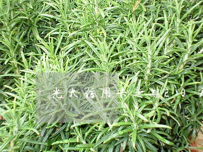 光大信用卡逾期20天上征信吗 光大信用卡逾期20天上征信吗