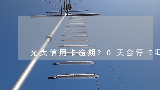 光大信用卡逾期20天会停卡吗