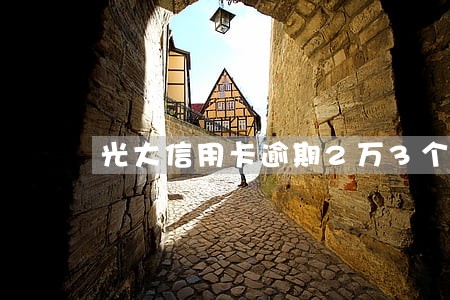 光大信用卡逾期2万3个月了 光大信用卡逾期2万3个月了