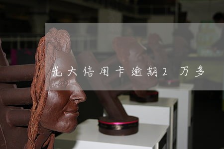 光大信用卡逾期2万多 光大信用卡逾期2万多