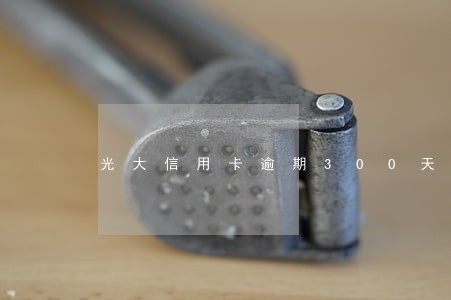 光大信用卡逾期300天 光大信用卡逾期300天
