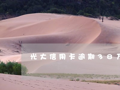 光大信用卡逾期38万三个月 光大信用卡逾期38万三个月