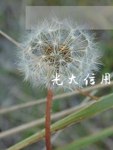 光大信用卡逾期3个月15000