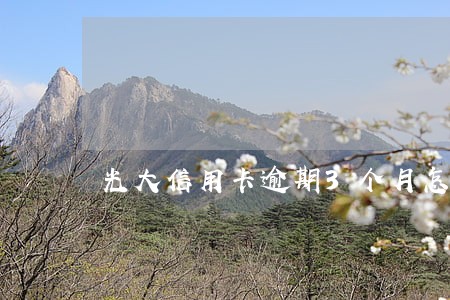 光大信用卡逾期3个月怎么办 光大信用卡逾期3个月怎么办