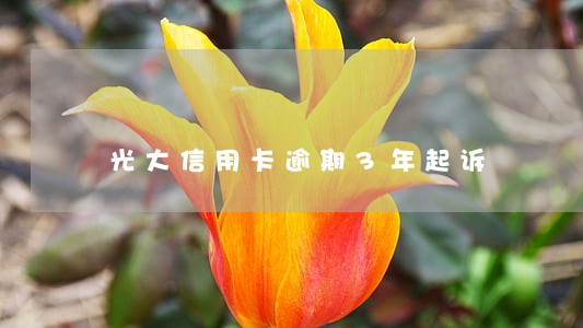光大信用卡逾期3年起诉