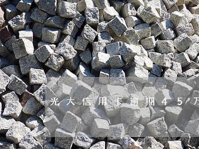光大信用卡逾期45万