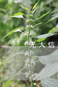 光大信用卡逾期4w会上门吗 光大信用卡逾期4w会上门吗