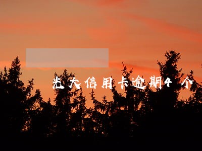 光大信用卡逾期4个 光大信用卡逾期4个