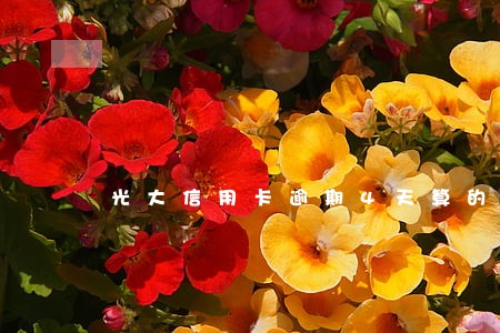 光大信用卡逾期4天算的