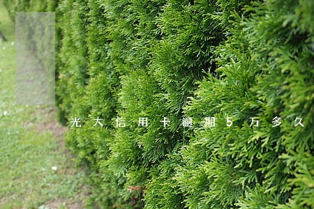 光大信用卡逾期5万多久会起诉 光大信用卡逾期5万多久会起诉