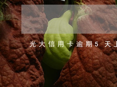 光大信用卡逾期5天上征信吗 光大信用卡逾期5天上征信吗