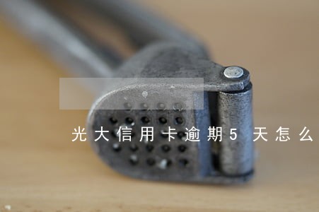 光大信用卡逾期5天怎么办 光大信用卡逾期5天怎么办