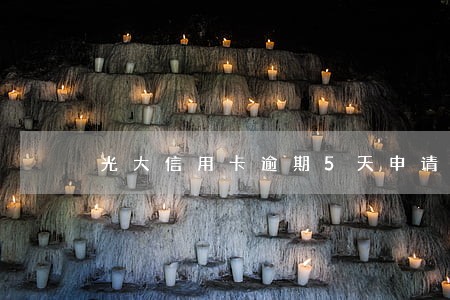 光大信用卡逾期5天申请