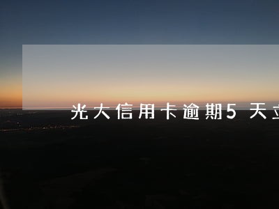 光大信用卡逾期5天立即还上 光大信用卡逾期5天立即还上
