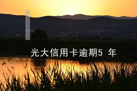 光大信用卡逾期5年 光大信用卡逾期5年