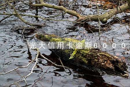 光大信用卡逾期6000元会怎样 光大信用卡逾期6000元会怎样