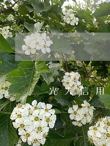 光大信用卡逾期6万