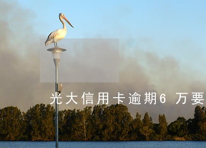 光大信用卡逾期6万要上门 光大信用卡逾期6万要上门
