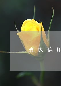 光大信用卡逾期6个月后果 光大信用卡逾期6个月后果
