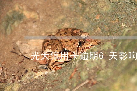 光大信用卡逾期6天影响吗