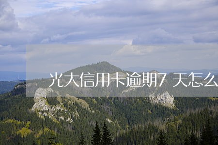 光大信用卡逾期7天怎么办 光大信用卡逾期7天怎么办