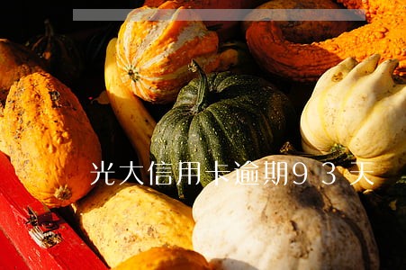光大信用卡逾期93天
