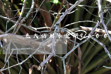 光大信用卡逾期9800多