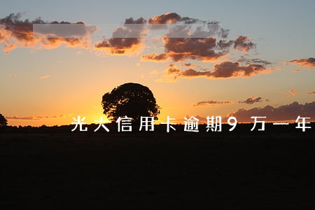 光大信用卡逾期9万一年 光大信用卡逾期9万一年