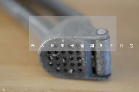 光大信用卡逾期9个月怎么办 光大信用卡逾期9个月怎么办