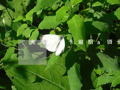 光大信用卡逾期a锁卡还能解卡吗