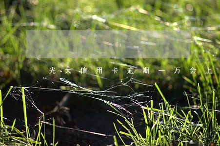 光大信用卡逾期一万会上门吗 光大信用卡逾期一万会上门吗