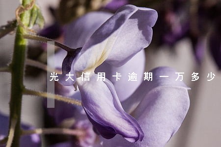 光大信用卡逾期一万多少利息