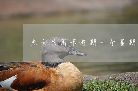 光大信用卡逾期一个星期 光大信用卡逾期一个星期