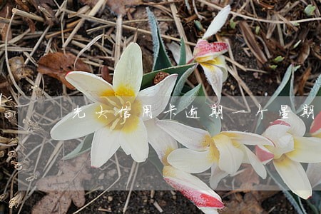 光大信用卡逾期一个星期多少利息 光大信用卡逾期一个星期多少利息