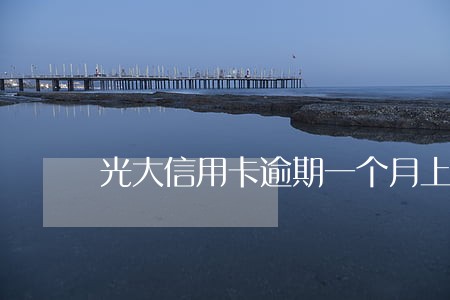 光大信用卡逾期一个月上征信 光大信用卡逾期一个月上征信