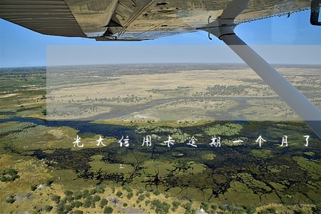 光大信用卡逾期一个月了会冻结吗