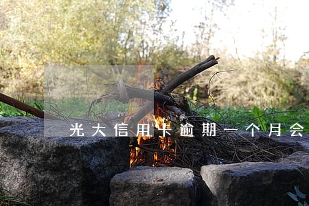 光大信用卡逾期一个月会有啥后果 光大信用卡逾期一个月会有啥后果