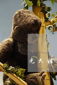 光大信用卡逾期一个月后果严重