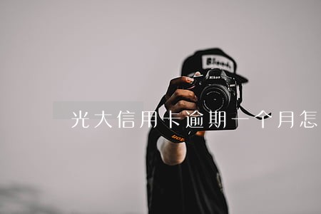 光大信用卡逾期一个月怎么解决