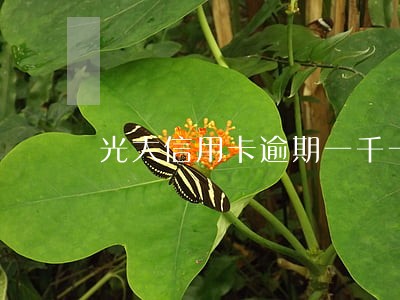 光大信用卡逾期一千一 光大信用卡逾期一千一