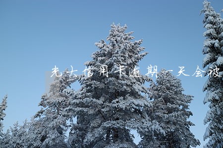 光大信用卡逾期一天会被冻结吗 光大信用卡逾期一天会被冻结吗