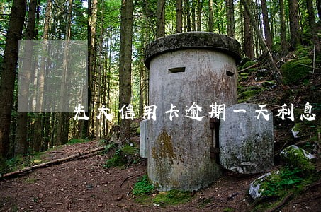 光大信用卡逾期一天利息是多少 光大信用卡逾期一天利息是多少