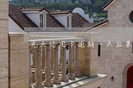 光大信用卡逾期一天后果 光大信用卡逾期一天后果