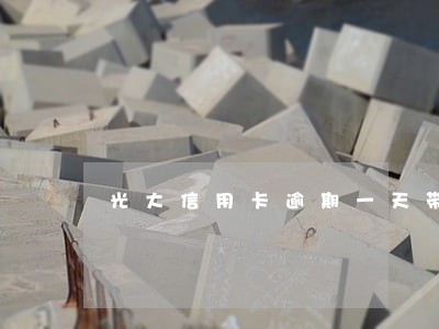 光大信用卡逾期一天带税金减免 光大信用卡逾期一天带税金减免