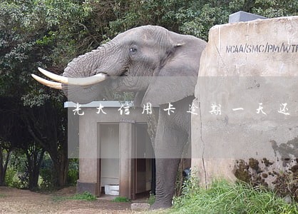 光大信用卡逾期一天还会怎样 光大信用卡逾期一天还会怎样