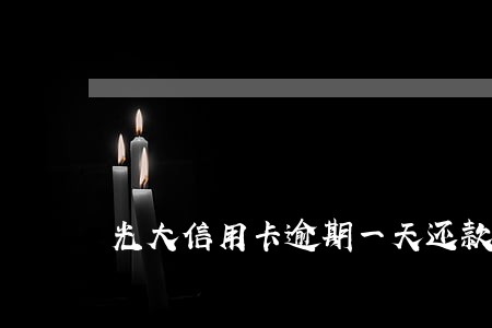 光大信用卡逾期一天还款利息