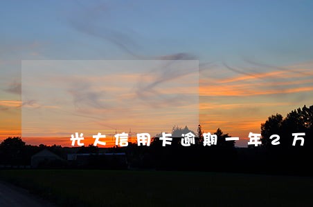 光大信用卡逾期一年2万
