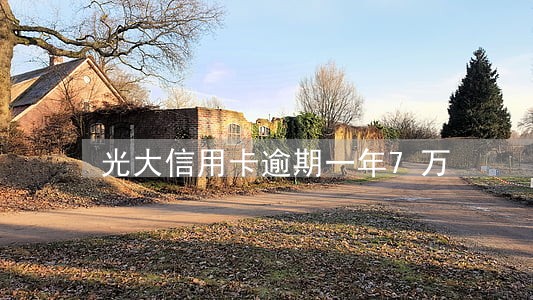 光大信用卡逾期一年7万 光大信用卡逾期一年7万