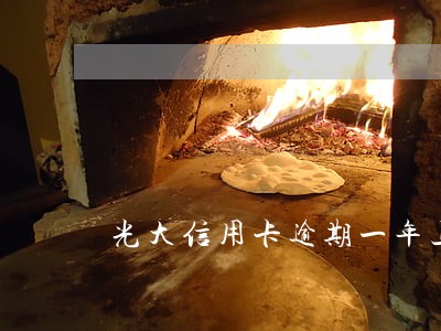 光大信用卡逾期一年上门 光大信用卡逾期一年上门