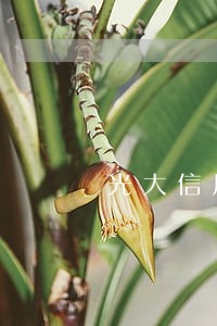 光大信用卡逾期一年多了 光大信用卡逾期一年多了